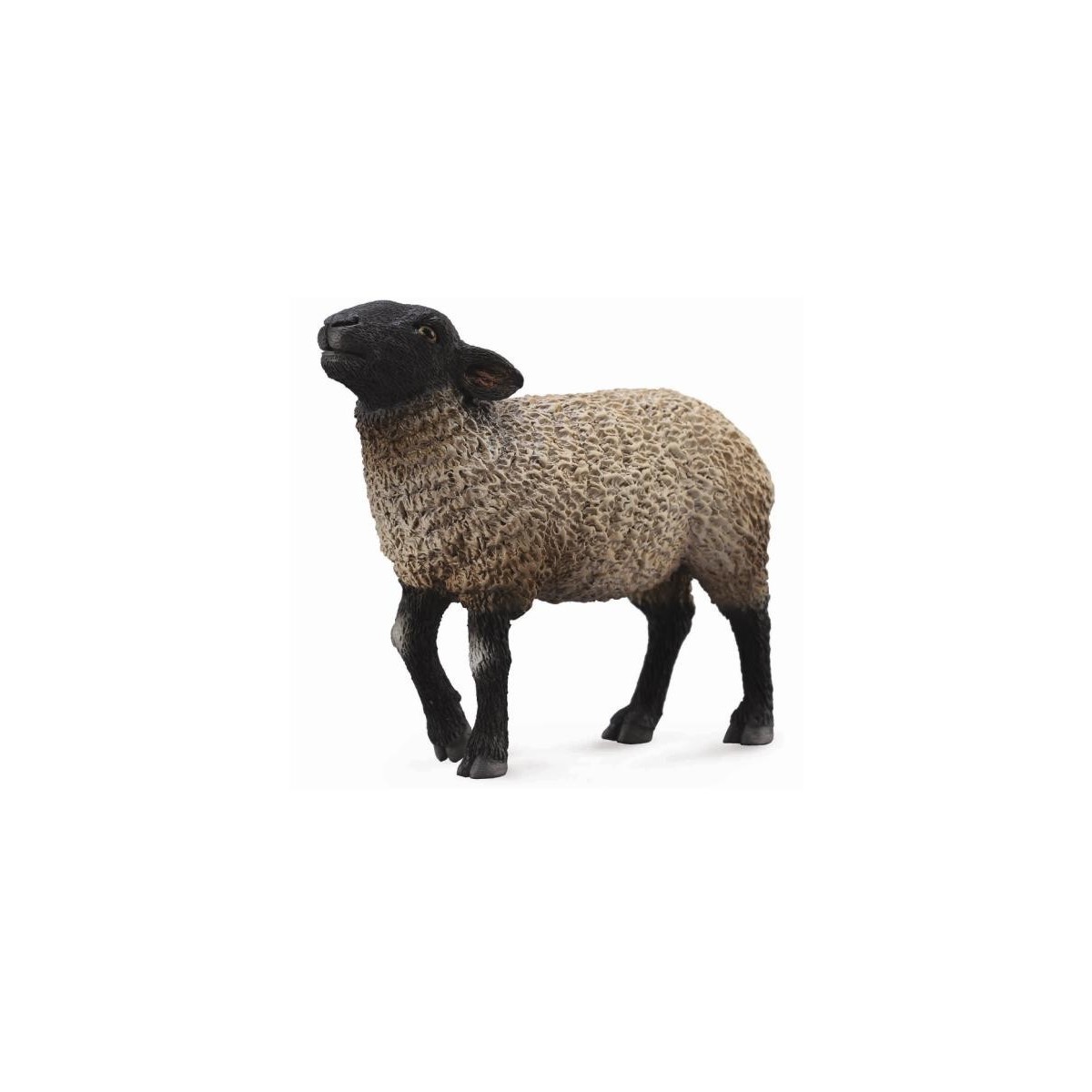 Figurina Oaie Suffolk