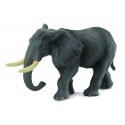 Elefant african - Collecta
