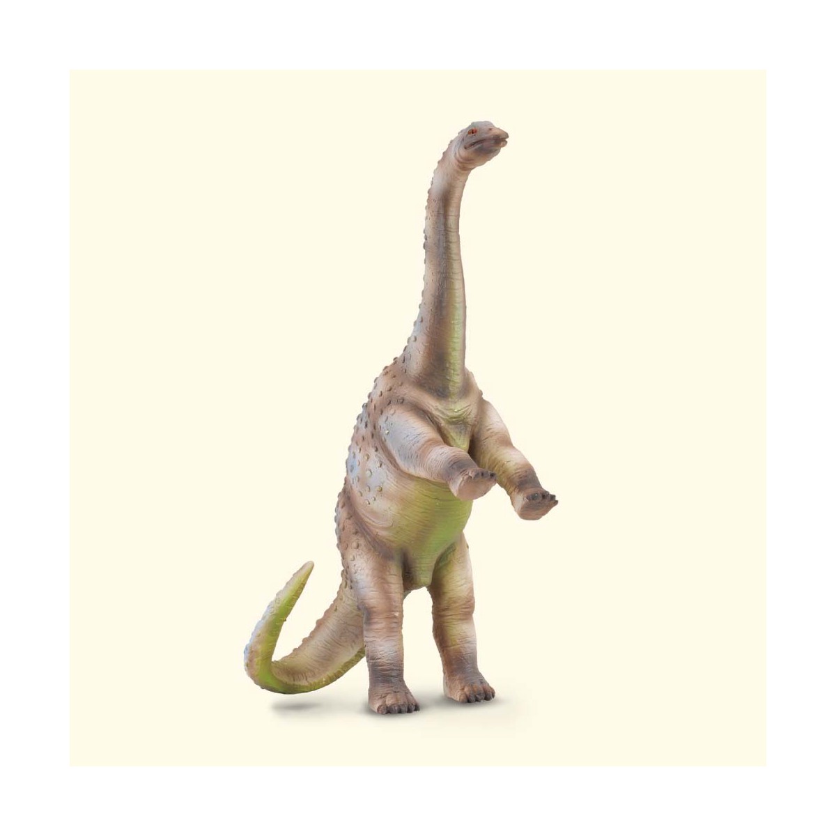 Rhoetosaurus  - Collecta