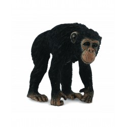 Cimpanzeu Femela - Collecta