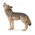 Lup urland - Collecta